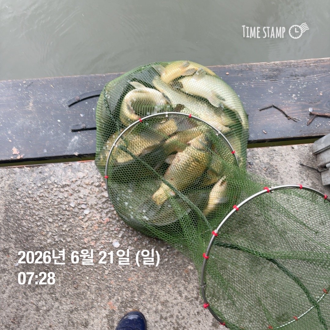 KakaoTalk_20260623_083629719_08.jpg