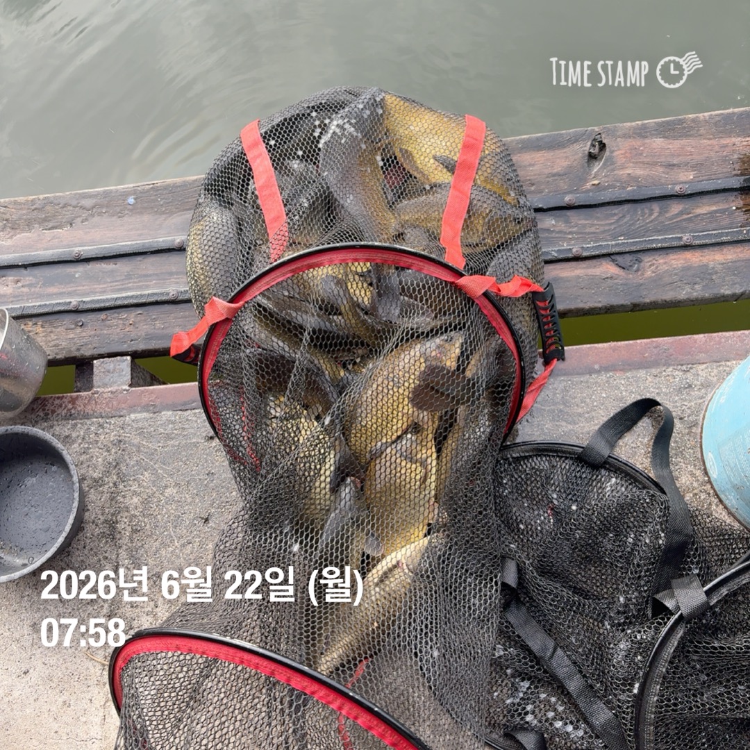 KakaoTalk_20260623_083629719.jpg