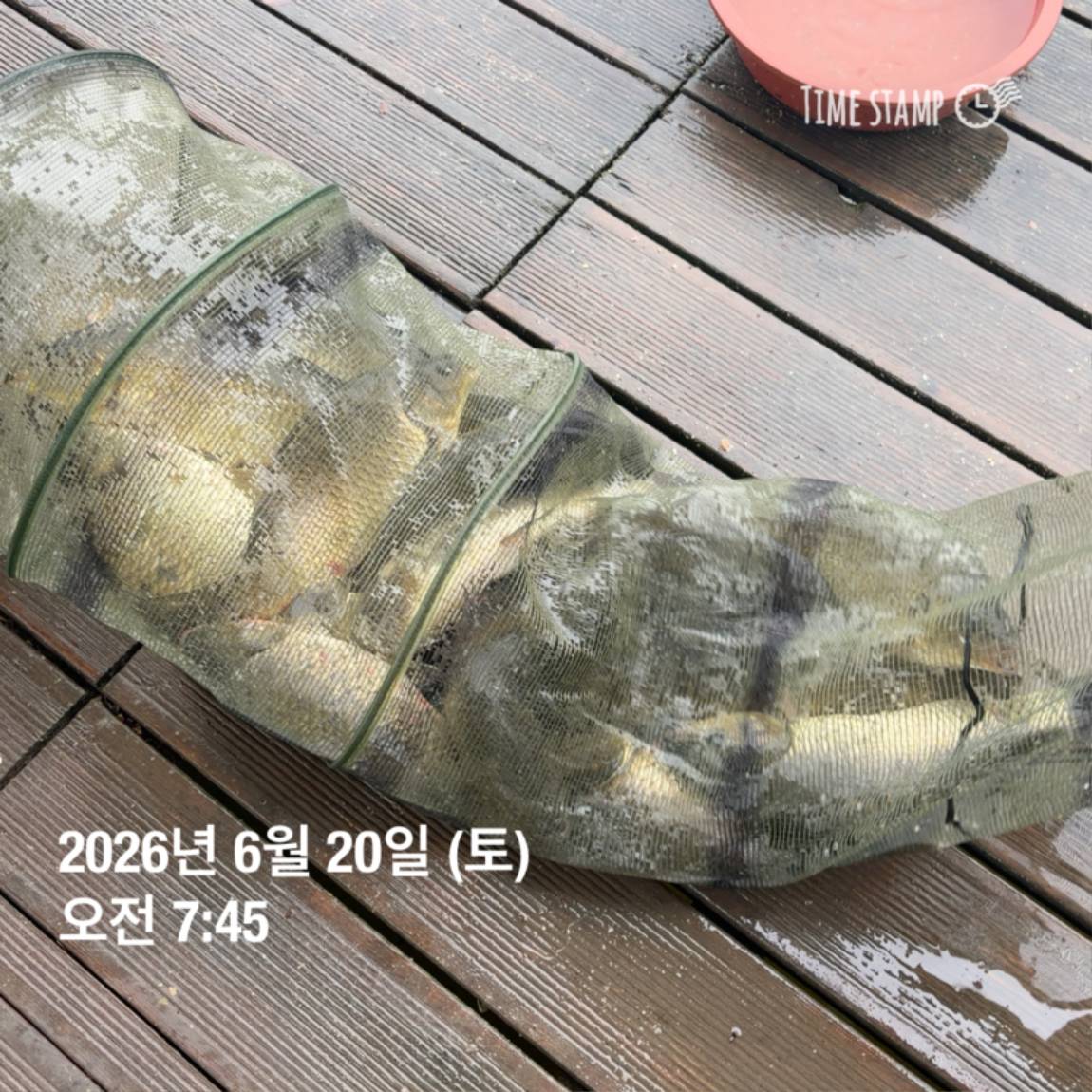 KakaoTalk_20260623_084642130_01.jpg