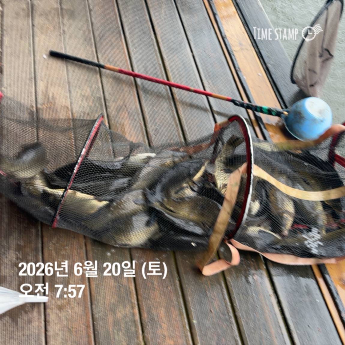 KakaoTalk_20260623_084642130_04.jpg