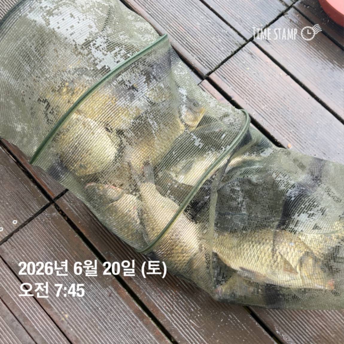 KakaoTalk_20260623_084642130_03.jpg