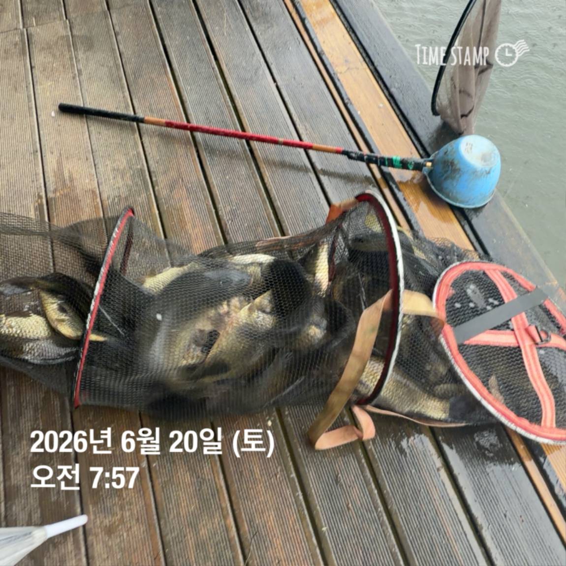 KakaoTalk_20260623_084642130_06.jpg