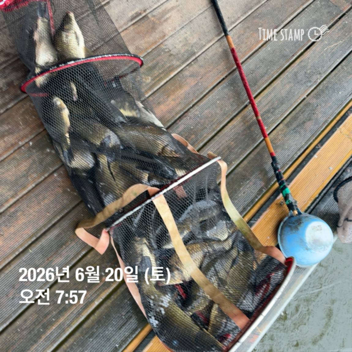 KakaoTalk_20260623_084642130_05.jpg