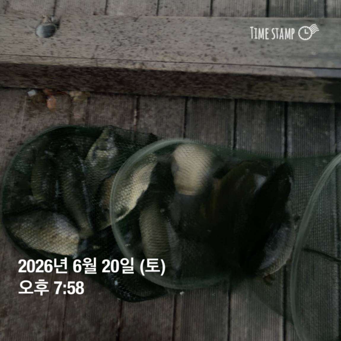 KakaoTalk_20260623_084642130_10.jpg