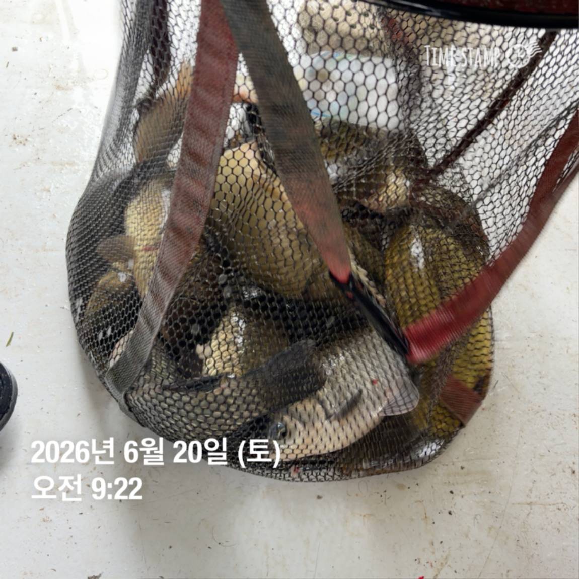 KakaoTalk_20260623_084642130_09.jpg