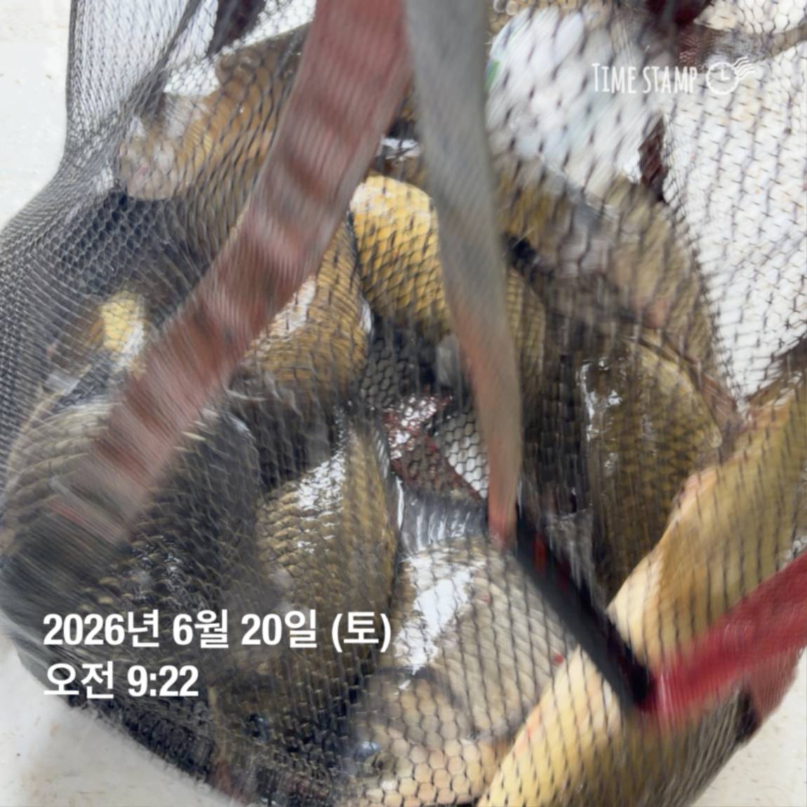 KakaoTalk_20260623_084642130_08.jpg