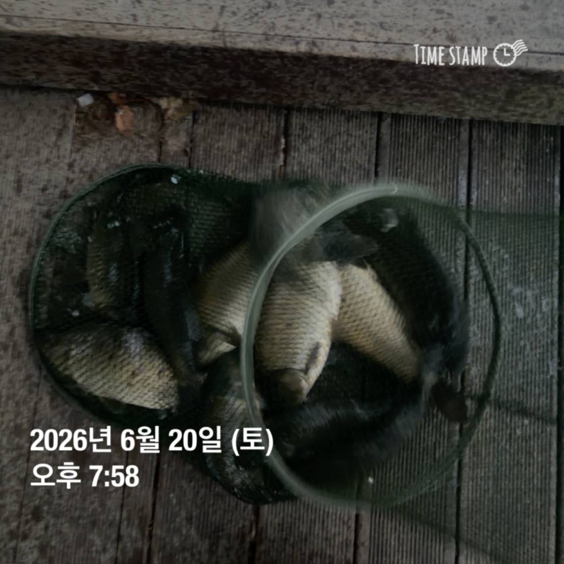 KakaoTalk_20260623_084642130_11.jpg