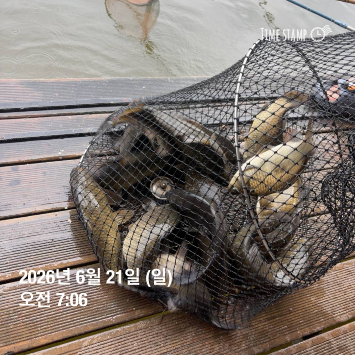 KakaoTalk_20260623_084642130_12.jpg