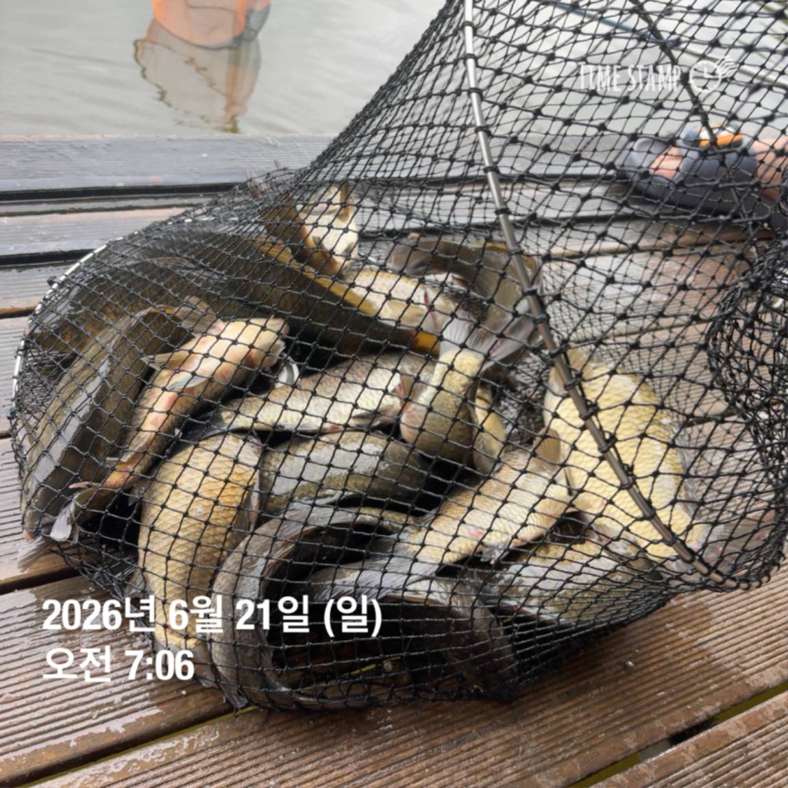 KakaoTalk_20260623_084642130_13.jpg