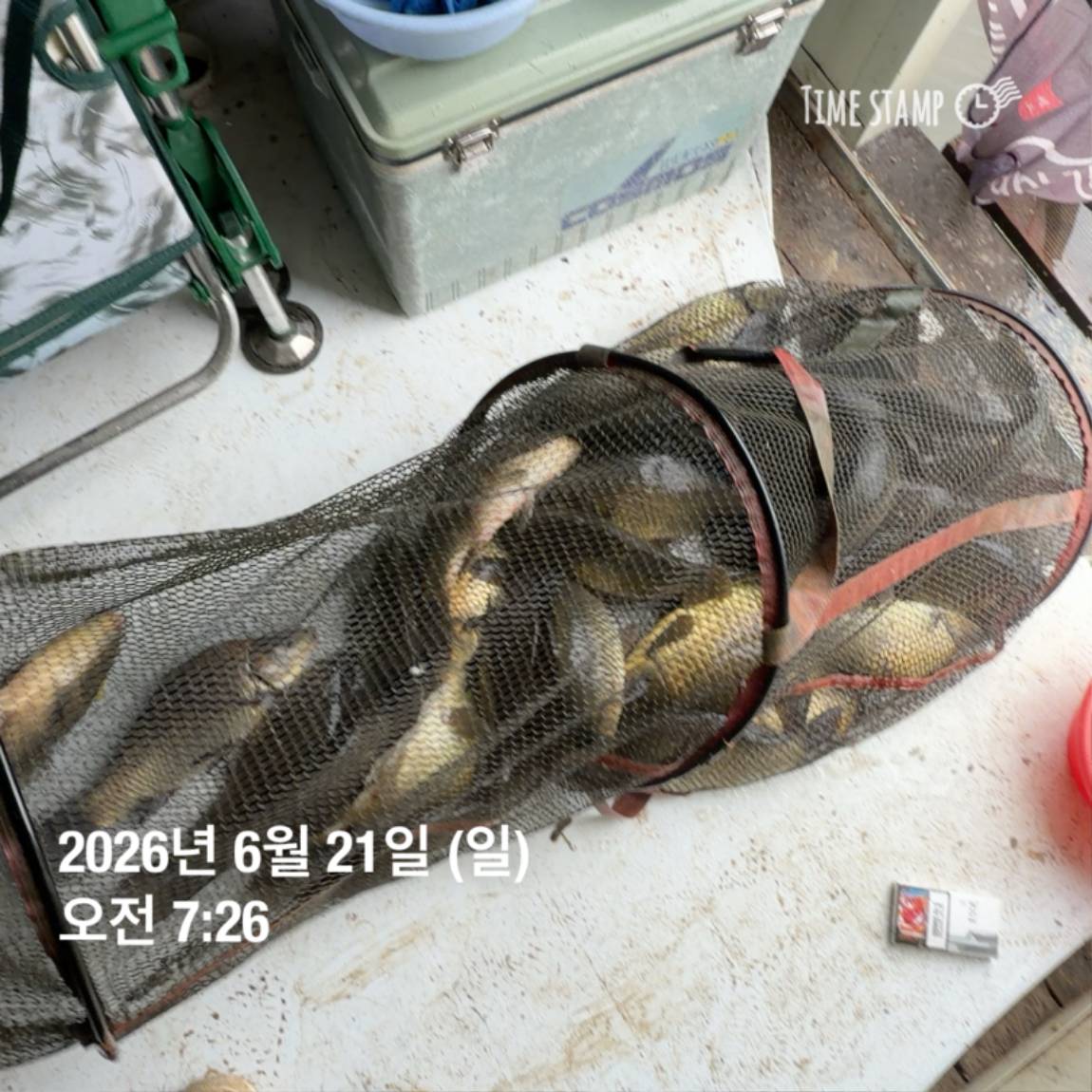 KakaoTalk_20260623_084642130_19.jpg