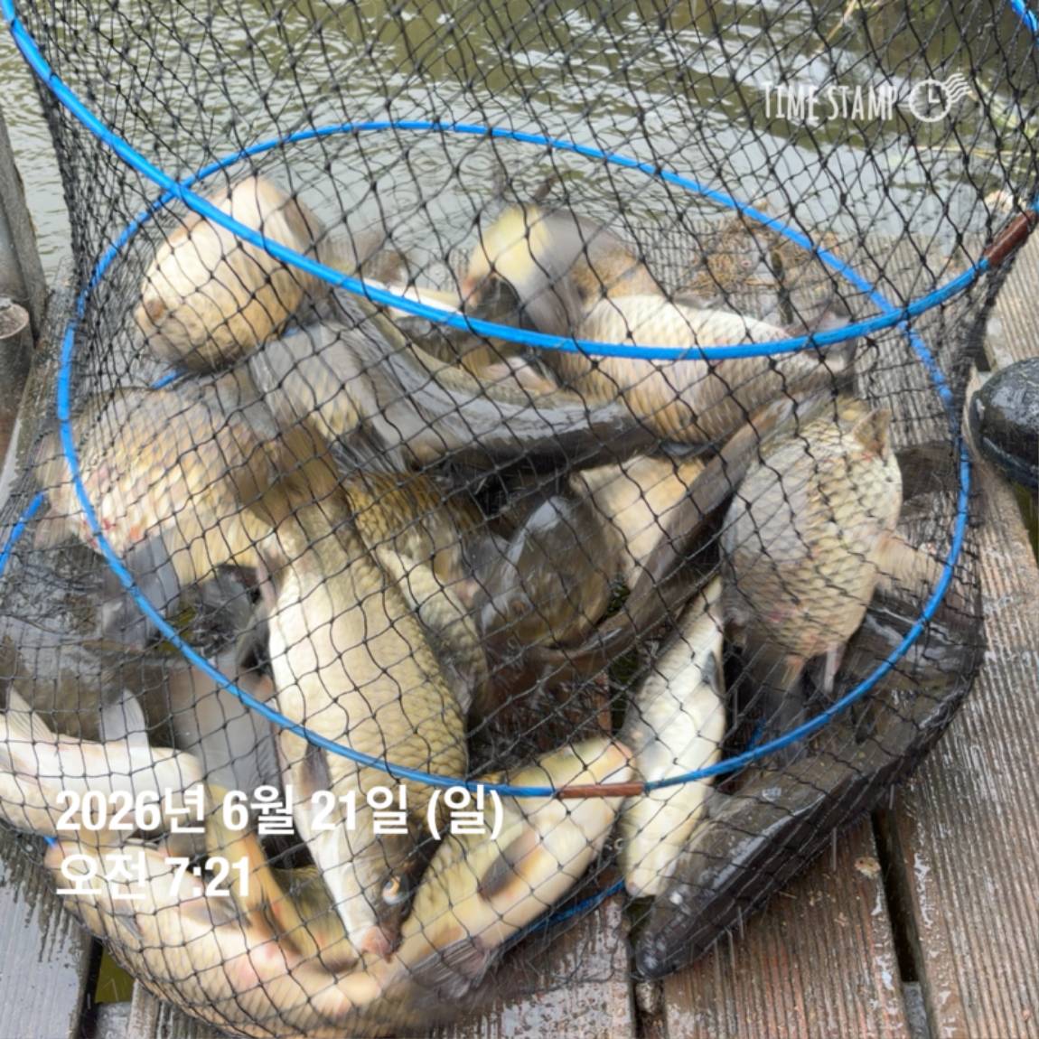KakaoTalk_20260623_084642130_17.jpg