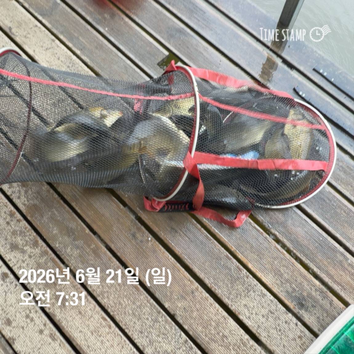 KakaoTalk_20260623_084642130_21.jpg