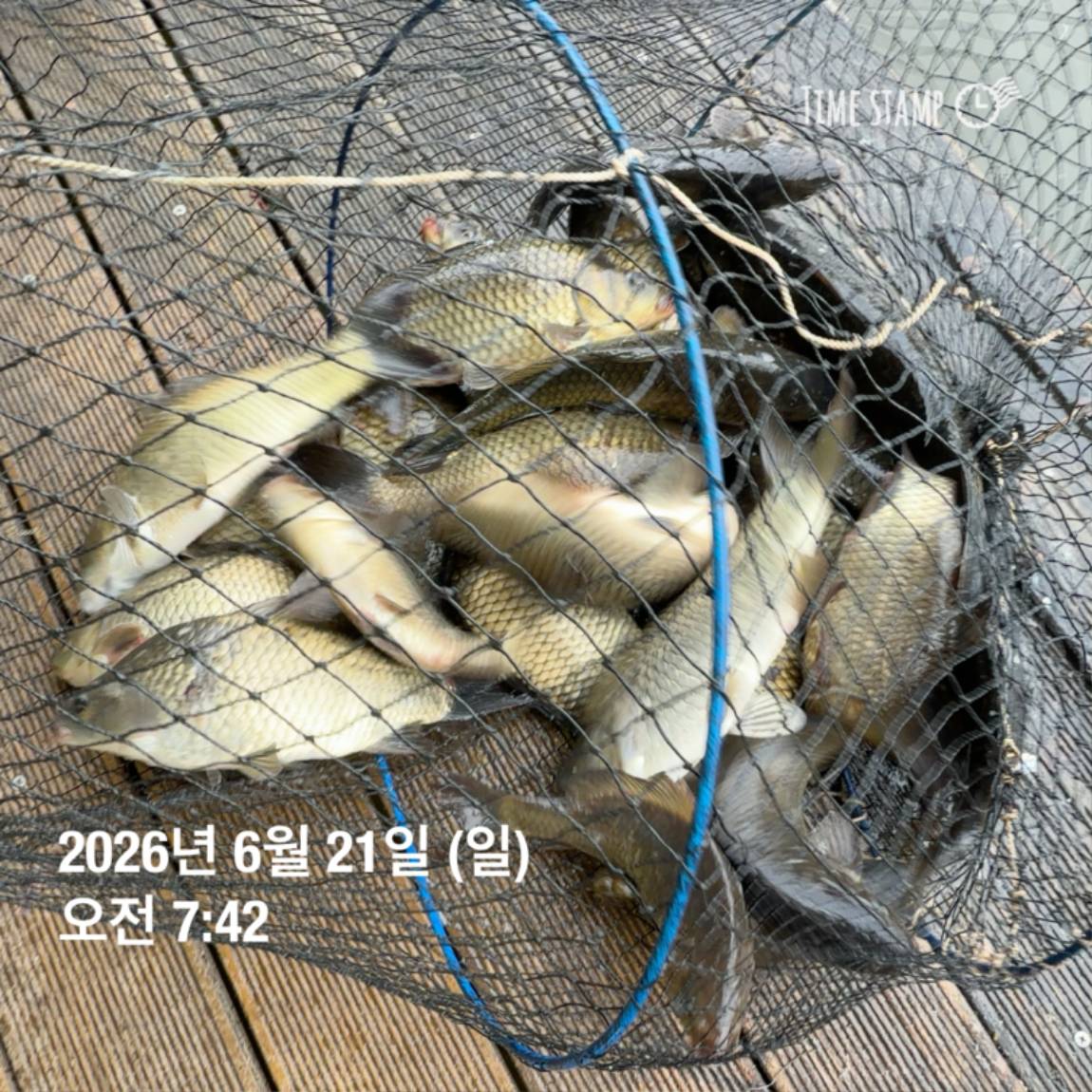 KakaoTalk_20260623_084642130_23.jpg