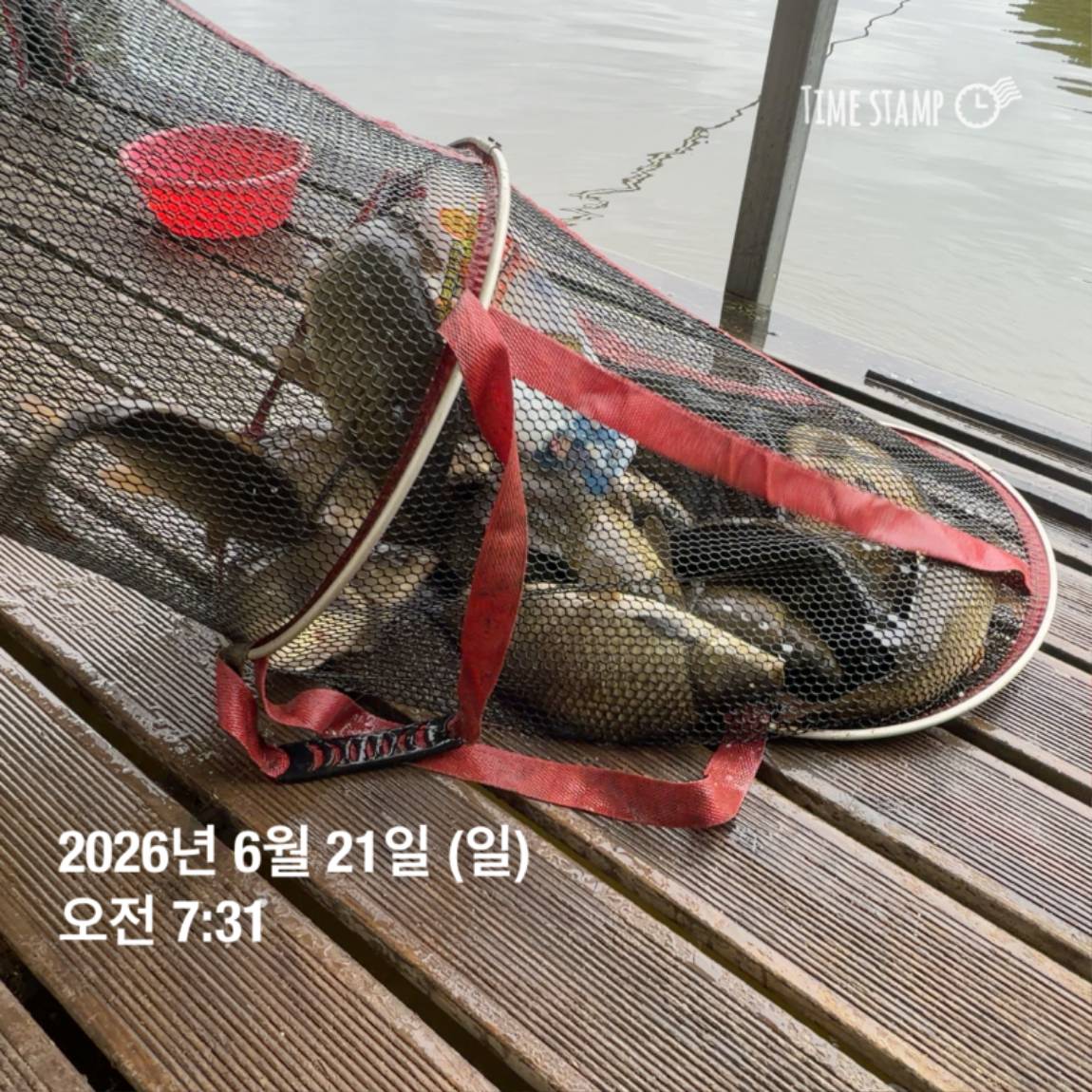 KakaoTalk_20260623_084642130_22.jpg