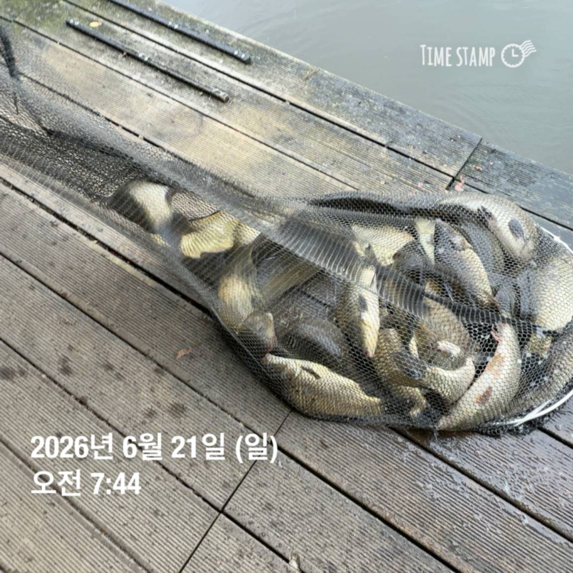 KakaoTalk_20260623_084642130_25.jpg