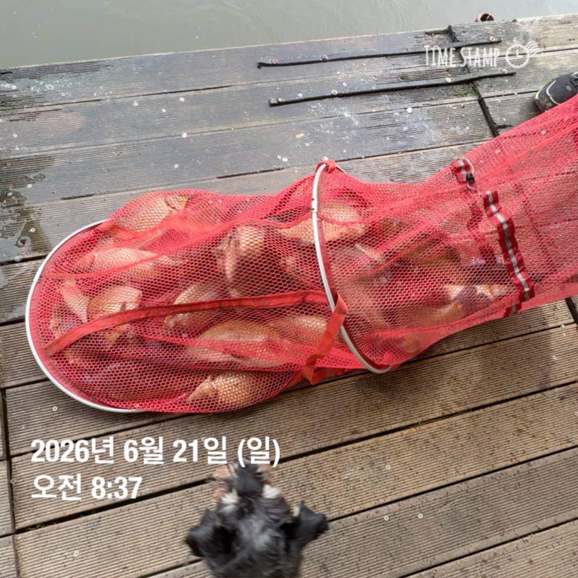KakaoTalk_20260623_084642130_26.jpg