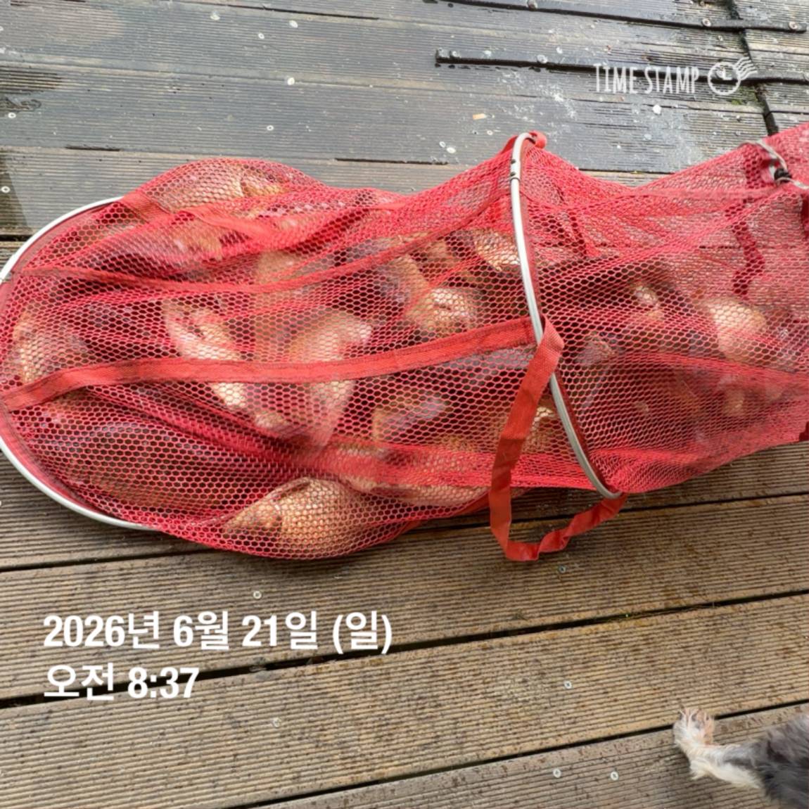 KakaoTalk_20260623_084642130_27.jpg