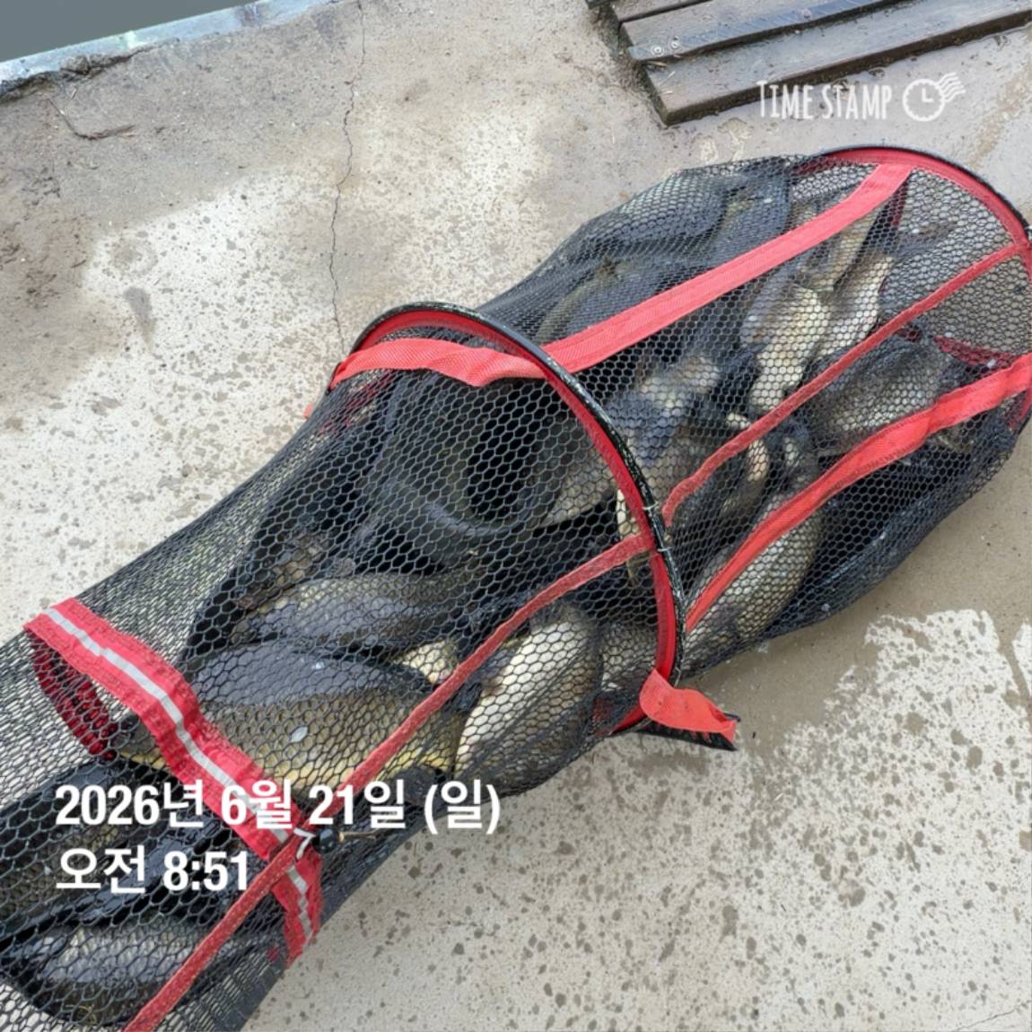 KakaoTalk_20260623_084642130_29.jpg