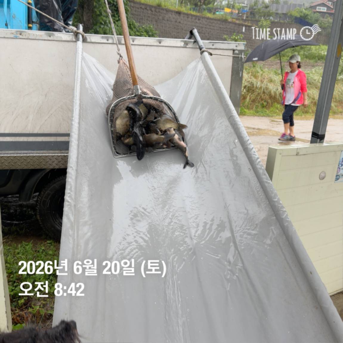 KakaoTalk_20260623_084647706_09.jpg