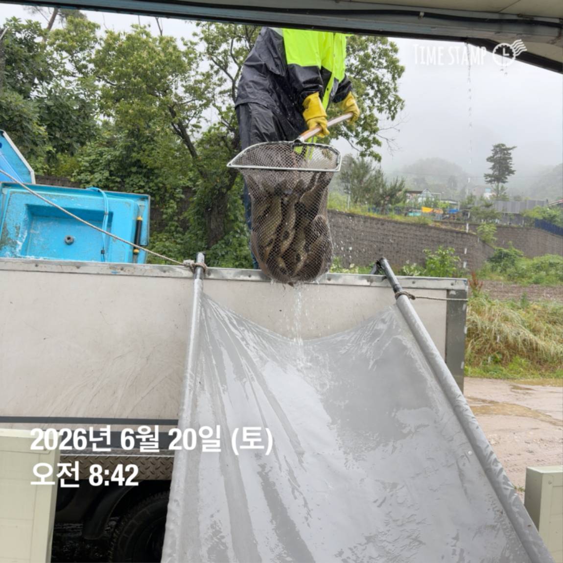 KakaoTalk_20260623_084647706_11.jpg