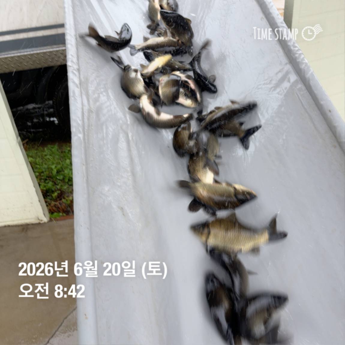 KakaoTalk_20260623_084647706_12.jpg