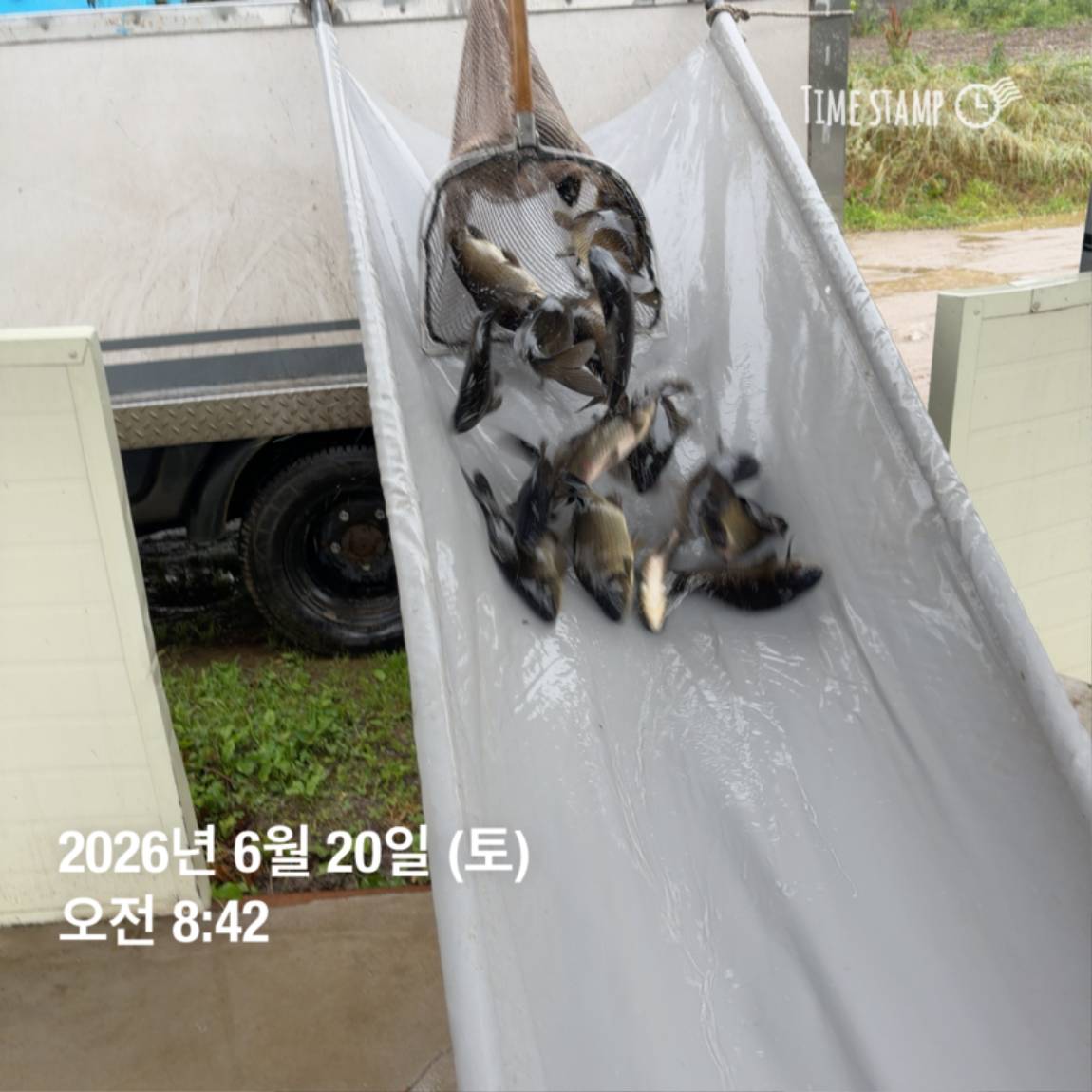 KakaoTalk_20260623_084647706_13.jpg