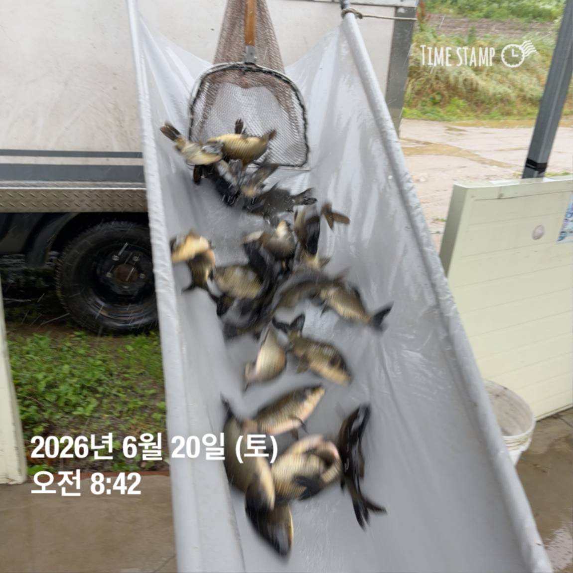 KakaoTalk_20260623_084647706_14.jpg