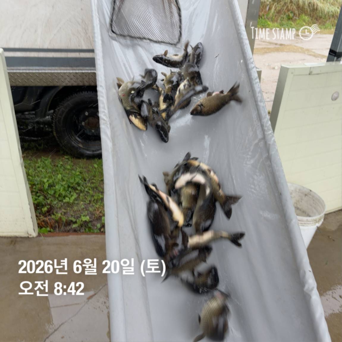 KakaoTalk_20260623_084647706_16.jpg