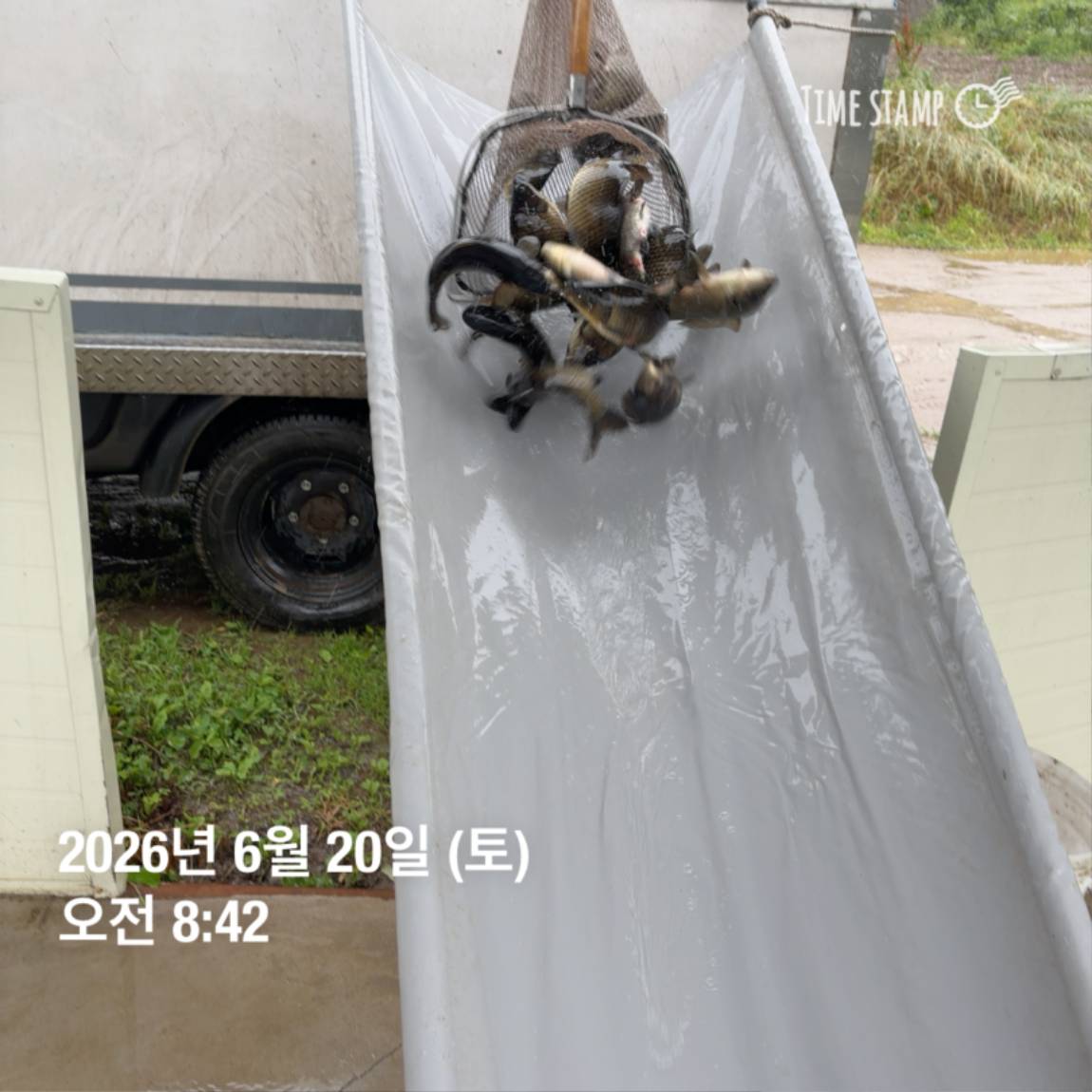 KakaoTalk_20260623_084647706_20.jpg