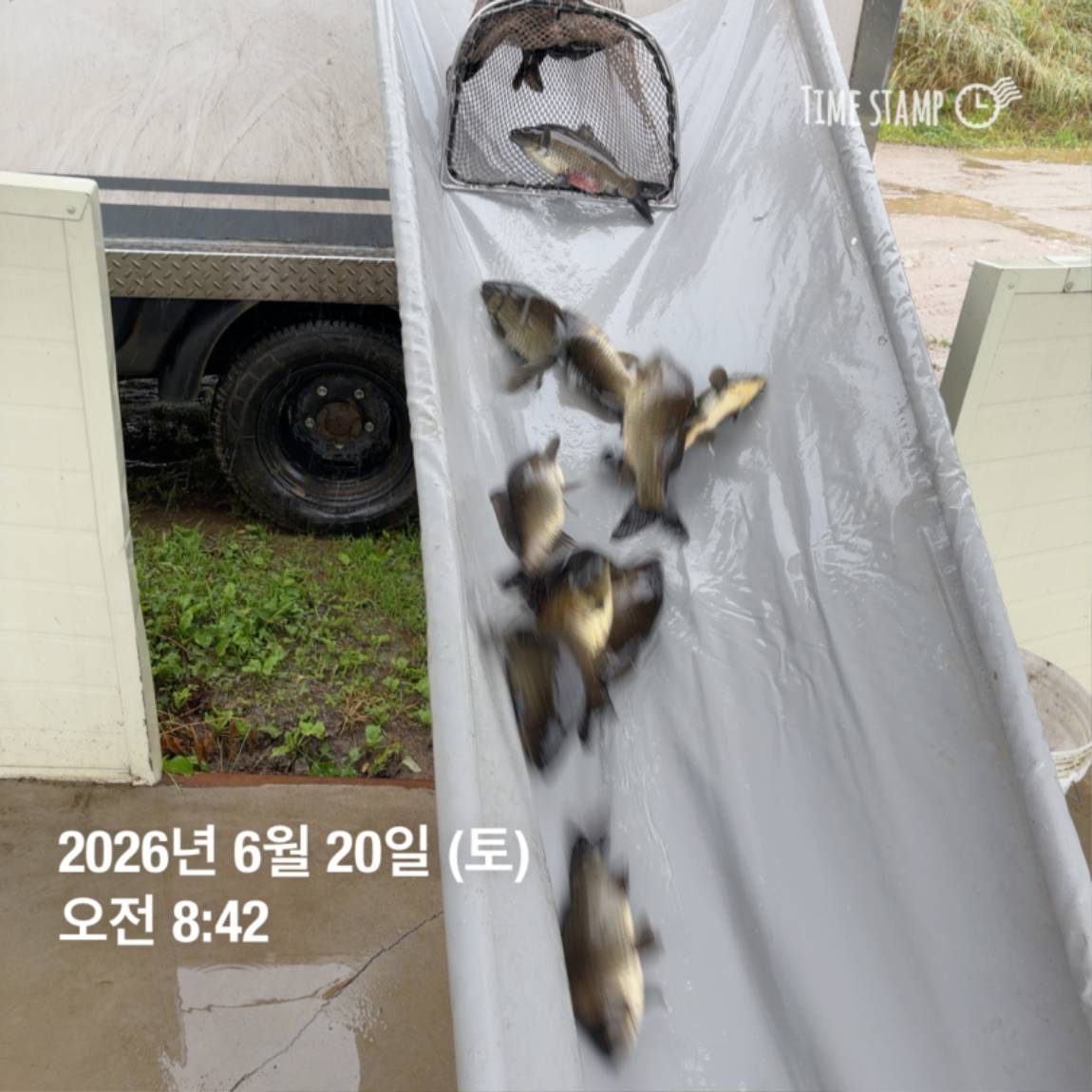 KakaoTalk_20260623_084647706_19.jpg