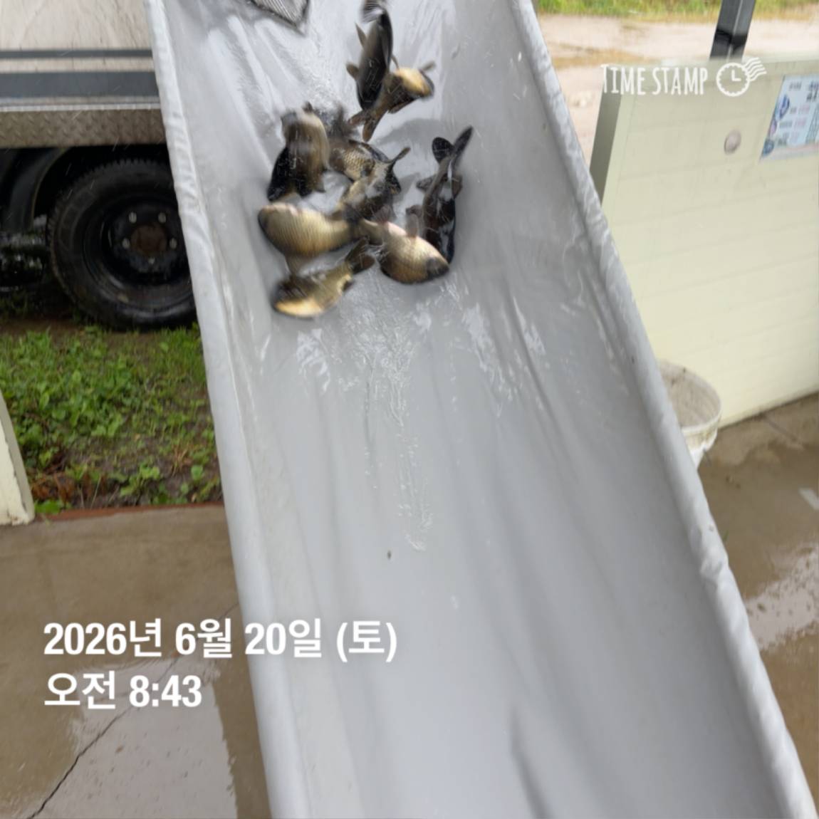 KakaoTalk_20260623_084647706_22.jpg