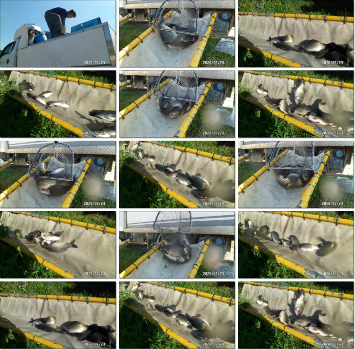 SAM_6009-tile.jpg