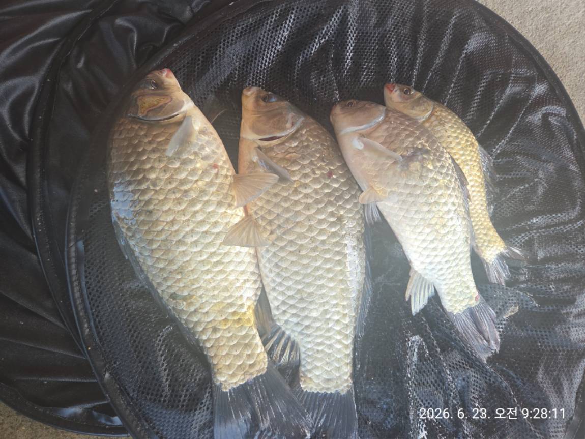 KakaoTalk_20260624_220014009.jpg