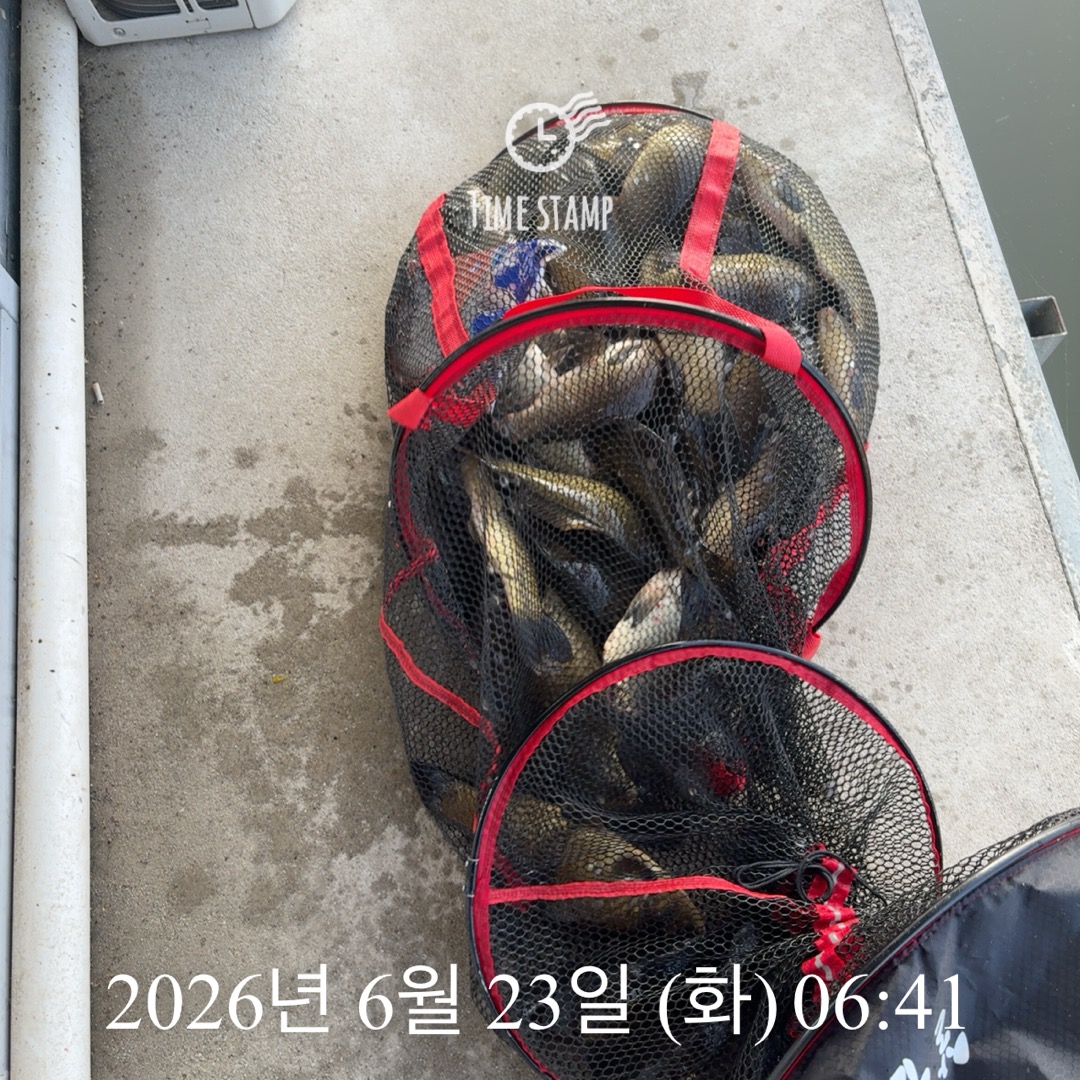 KakaoTalk_20260625_090026976_14.jpg