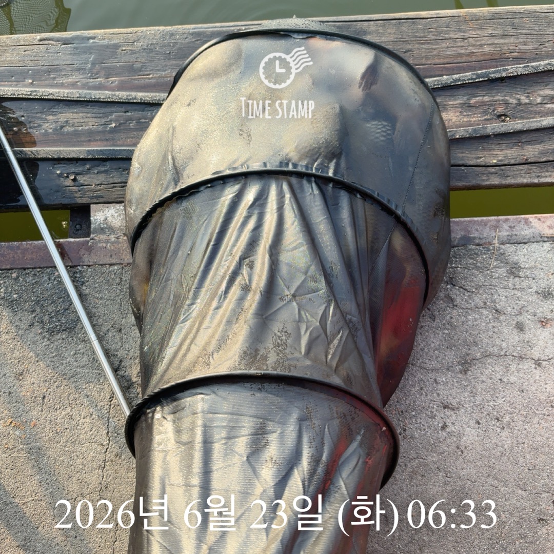 KakaoTalk_20260625_090026976_15.jpg