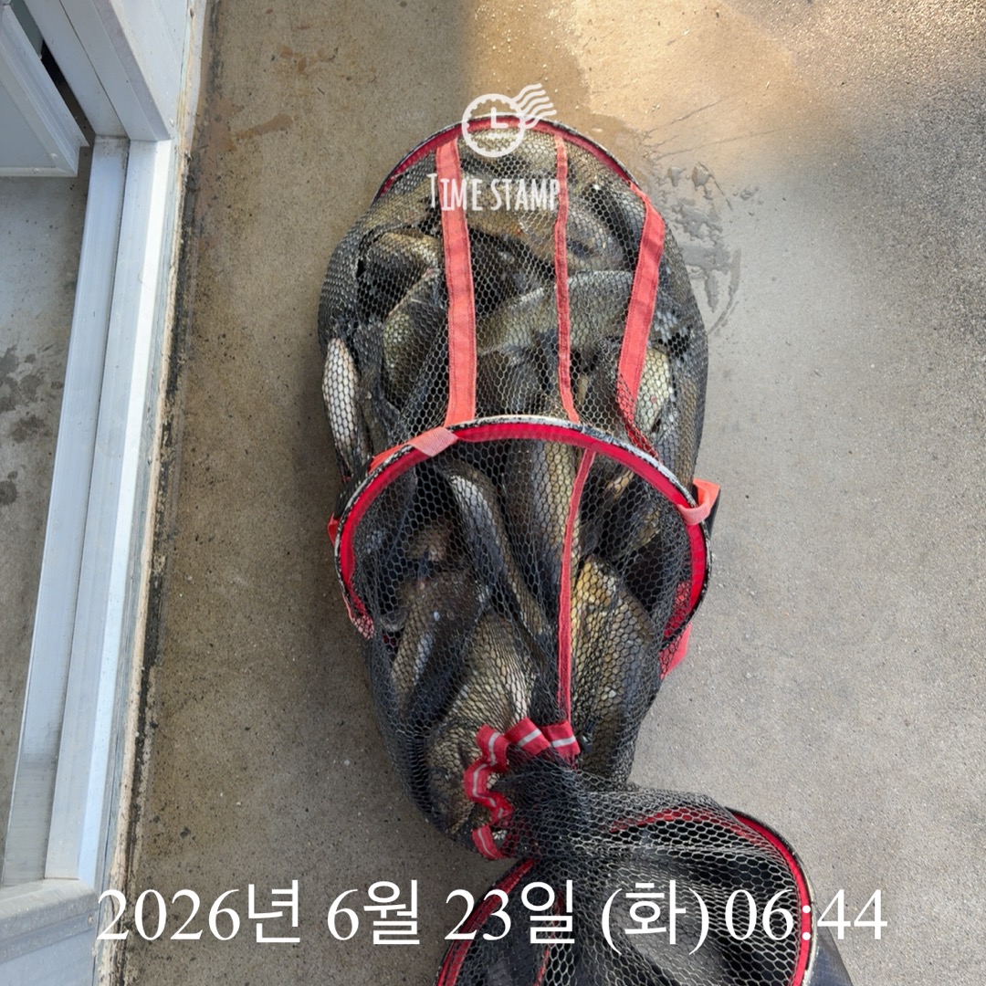 KakaoTalk_20260625_090026976_13.jpg