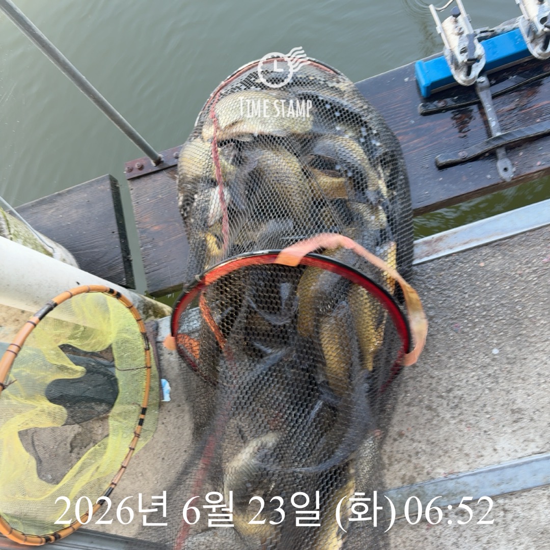 KakaoTalk_20260625_090026976_12.jpg