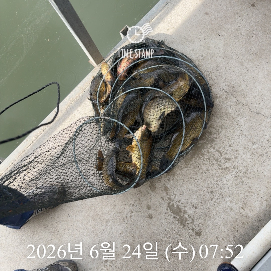KakaoTalk_20260625_090026976_07.jpg
