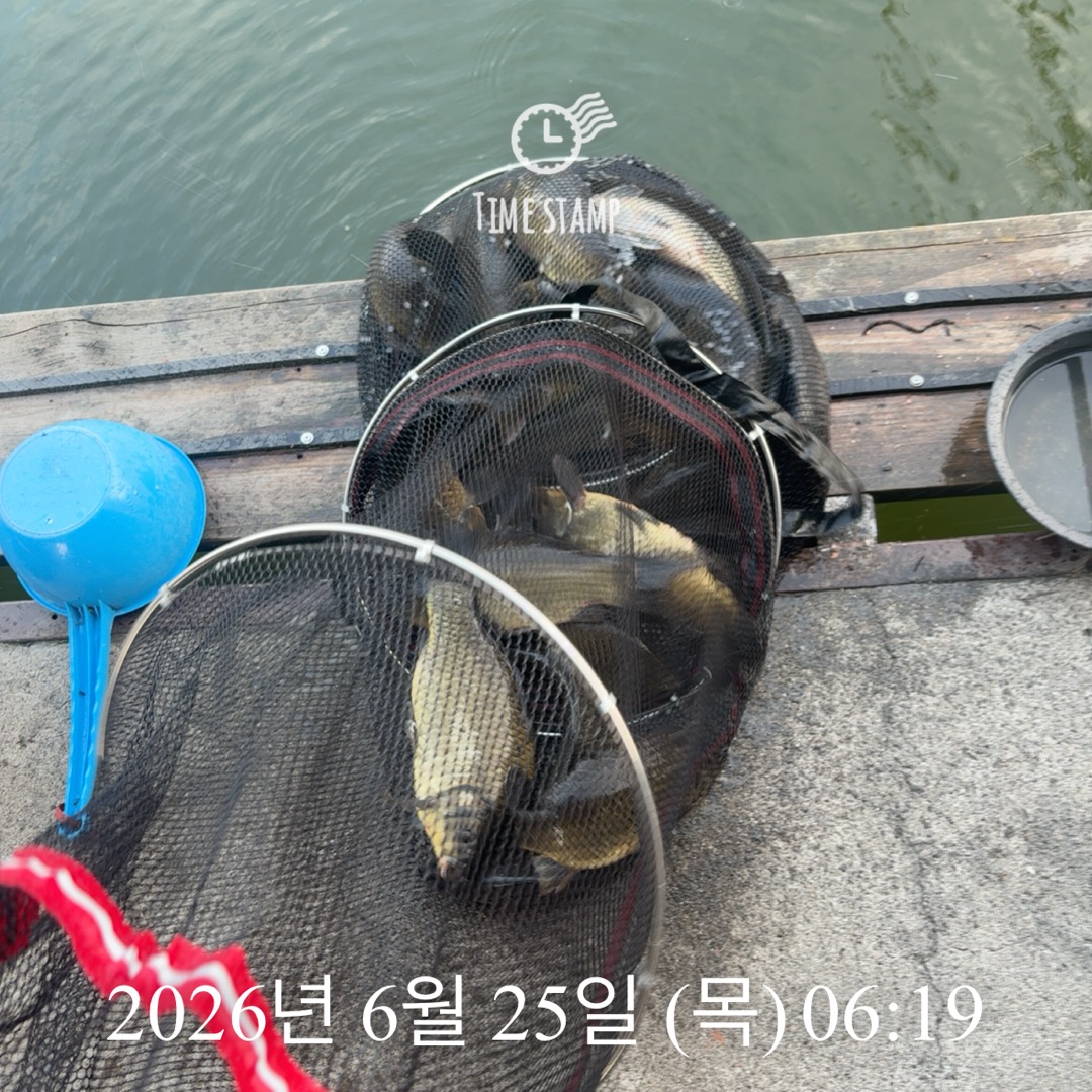 KakaoTalk_20260625_090026976_03.jpg