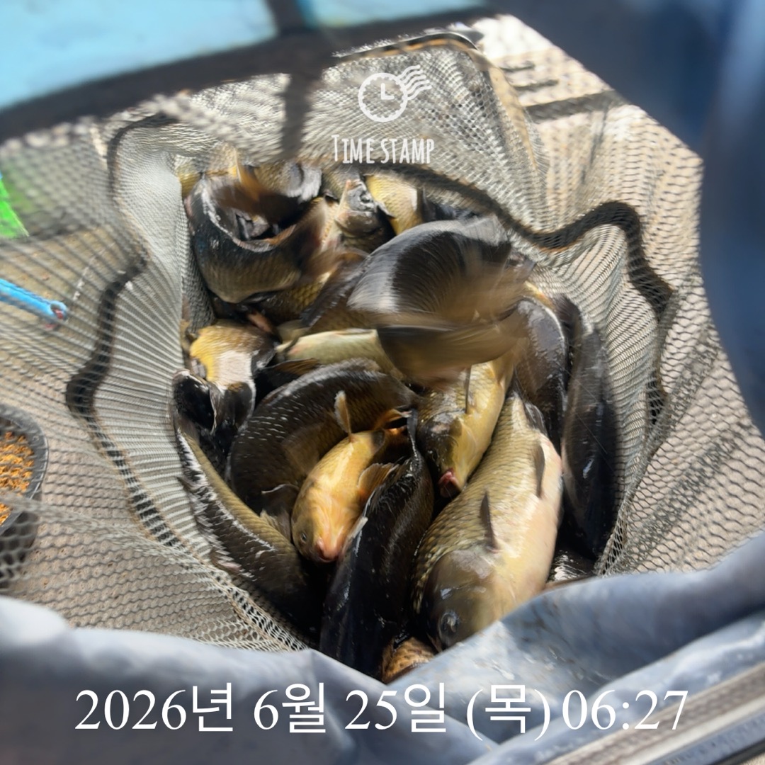 KakaoTalk_20260625_090026976.jpg