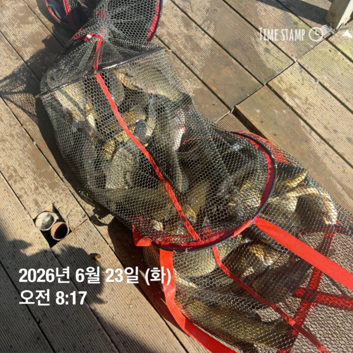 KakaoTalk_20260625_094358336_01.jpg
