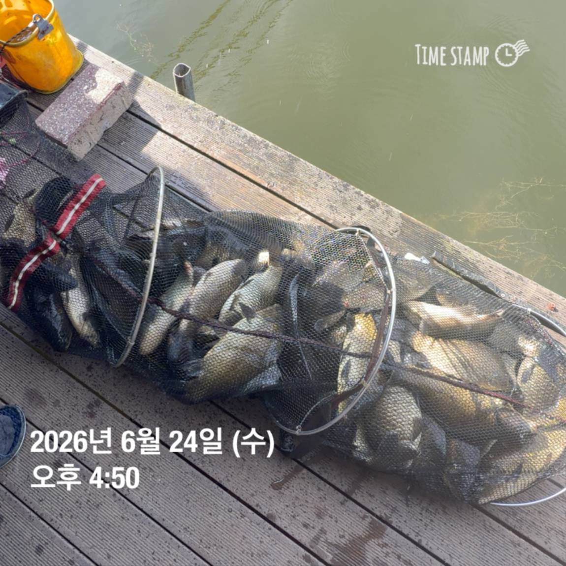 KakaoTalk_20260625_094358336_08.jpg