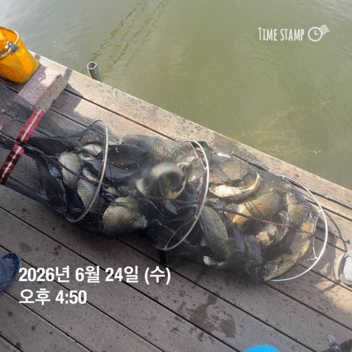 KakaoTalk_20260625_094358336_07.jpg