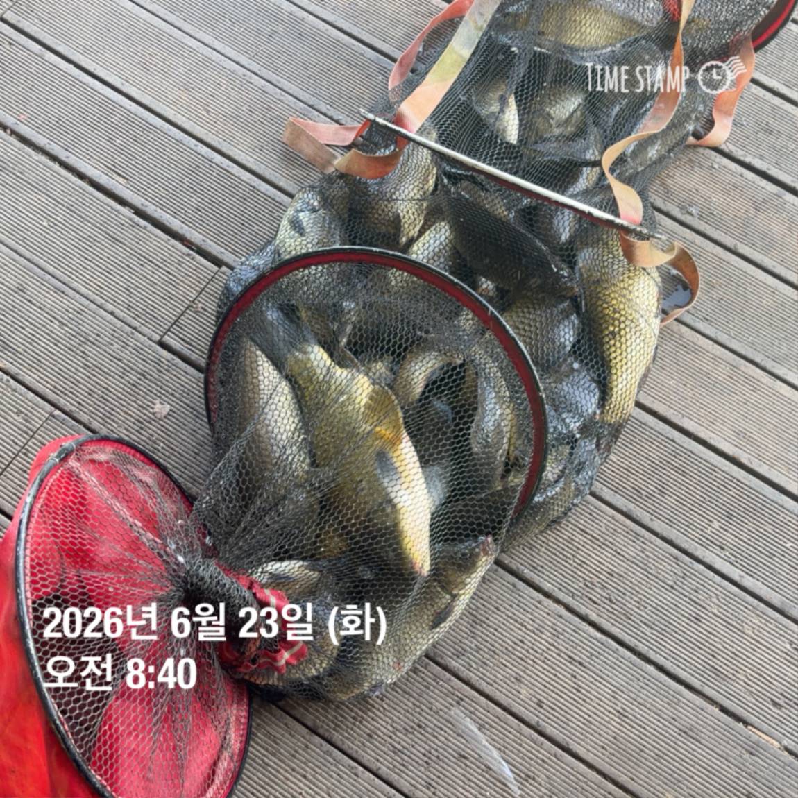 KakaoTalk_20260625_094358336_06.jpg