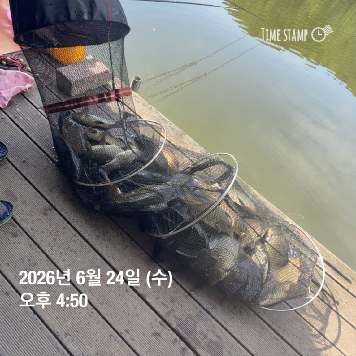 KakaoTalk_20260625_094358336_09.jpg