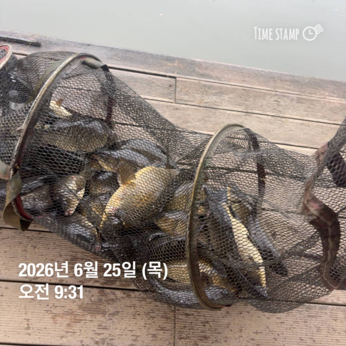 KakaoTalk_20260625_094358336_12.jpg