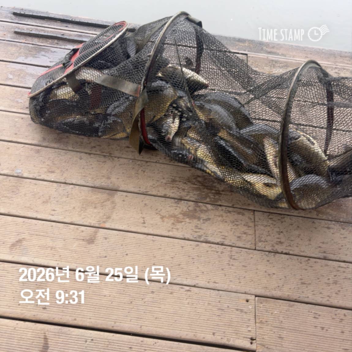 KakaoTalk_20260625_094358336_11.jpg