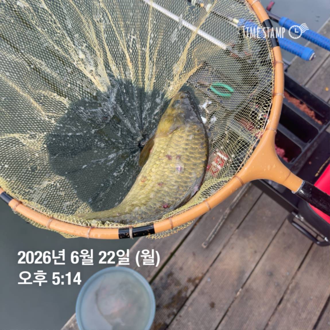 KakaoTalk_20260625_094358336_13.jpg