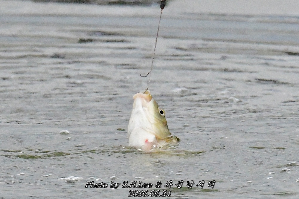 DSC_1269.JPG