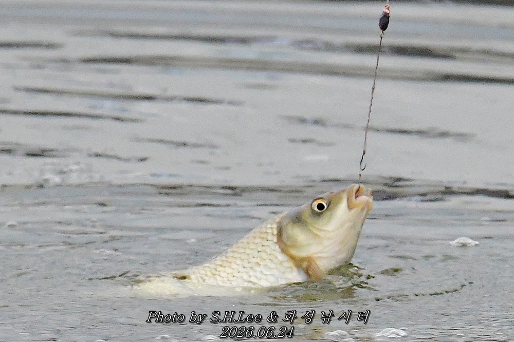 DSC_1270.JPG
